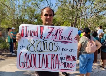 Histórica multa ambiental en Mérida; gasolinera paga caro la tala de maculís
