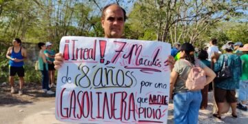 Histórica multa ambiental en Mérida; gasolinera paga caro la tala de maculís