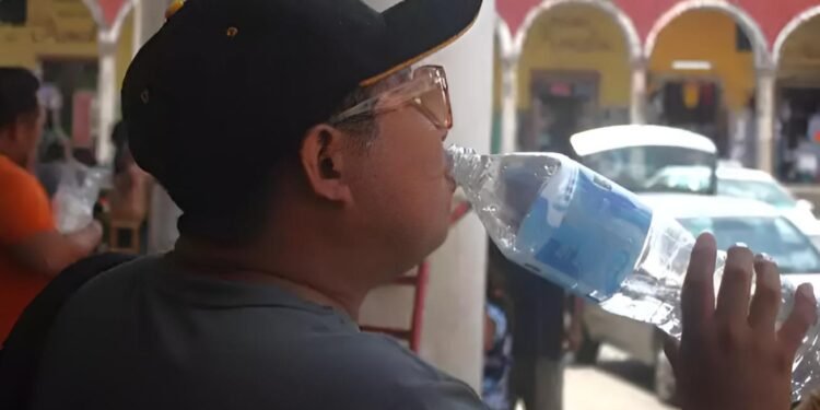 El calor también mueve la economía; se disparan ventas de hielo y bebidas en Yucatán