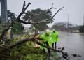 Vientos y lluvias ponen en alerta a Mérida; suman más de 70 incidentes