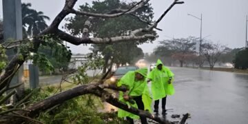 Vientos y lluvias ponen en alerta a Mérida; suman más de 70 incidentes
