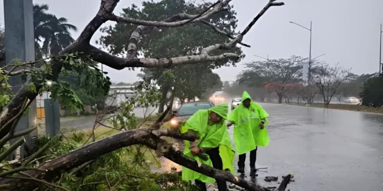 Vientos y lluvias ponen en alerta a Mérida; suman más de 70 incidentes