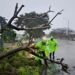 Vientos y lluvias ponen en alerta a Mérida; suman más de 70 incidentes