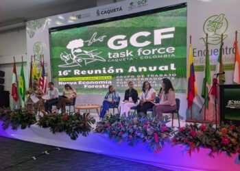 ¿Puede Yucatán garantizar la protección de sus ecosistemas? Esta es su apuesta