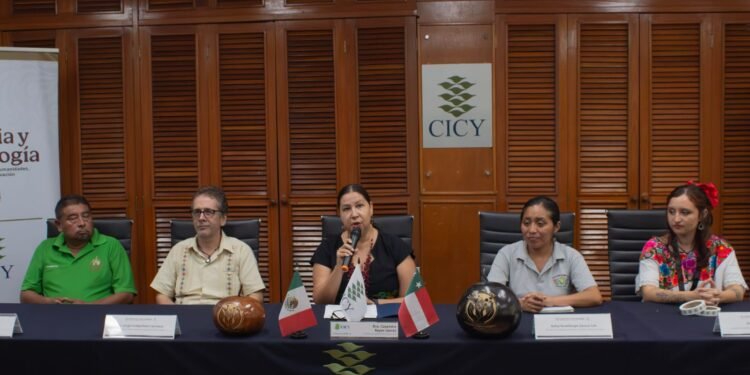 ¿Del campo a tu mesa? Es posible con el mercado agroecológico “U yich in meyaj”