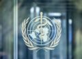 ¿Puede llegar el ébola a México? Crece preocupación tras alerta internacional