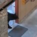 ¿Te imaginas abrir esa puerta? Oso negro sorprende a policías en baño de hotel de EU