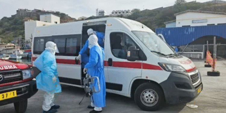 ¿Aumentaron los casos de hantavirus? La OMS responde