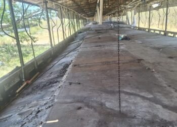 ¡Cae gigante porcícola! Multa millonaria y clausura total de Profepa a esta granja