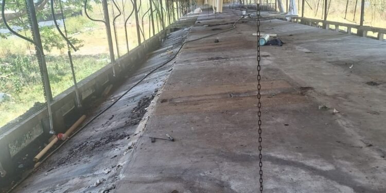 ¡Cae gigante porcícola! Multa millonaria y clausura total de Profepa a esta granja