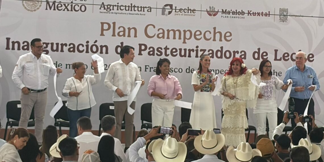 Campeche proyecta producir 48 millones de litros de leche al año