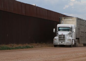 México cierra el paso al ganado estadounidense. ¿Por qué?