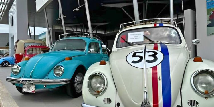 ¡Los vochos toman Mérida! Se reunirá más de 100 vehículos de colección