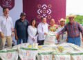Rescatan a citricultores: llegan apoyos, fertilizantes y energía solar a Akil
