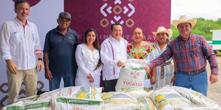 Rescatan a citricultores: llegan apoyos, fertilizantes y energía solar a Akil
