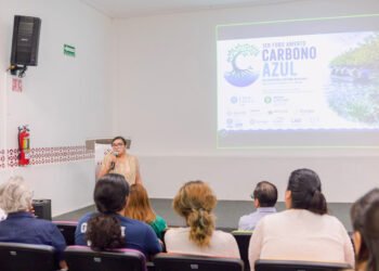Carbono azul, la apuesta que busca blindar el Caribe y el Golfo de México