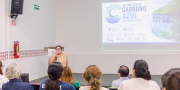Carbono azul, la apuesta que busca blindar el Caribe y el Golfo de México