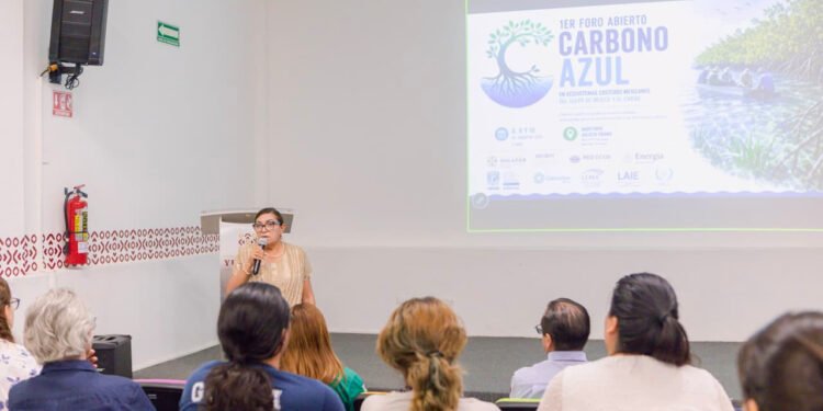 Carbono azul, la apuesta que busca blindar el Caribe y el Golfo de México