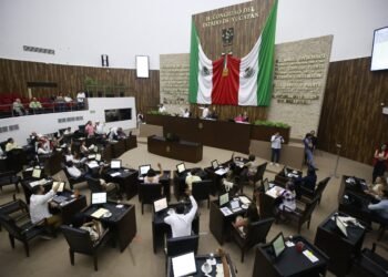 Congreso local despenaliza el aborto tras sanción económica por desacato