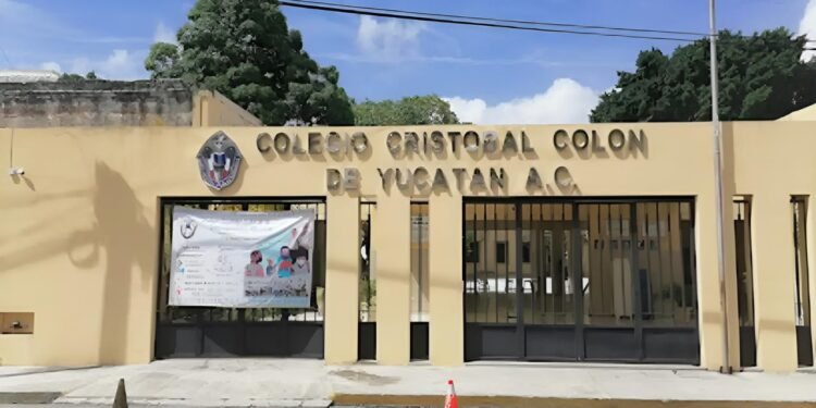 ¿Qué aprendieron los alumnos? Termina ciclo escolar sin medir nivel académico