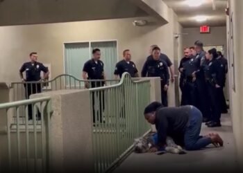 Festejaba el campeonato de los Knicks; la policía llegó y abatió a su perro