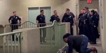 Festejaba el campeonato de los Knicks; la policía llegó y abatió a su perro