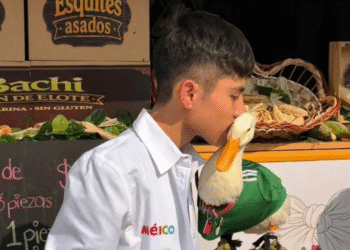 ¿Intentaron quedarse con el Pato Merlín? IMPI respalda a la familia y aclara quién tiene los derechos