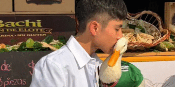 ¿Intentaron quedarse con el Pato Merlín? IMPI respalda a la familia y aclara quién tiene los derechos