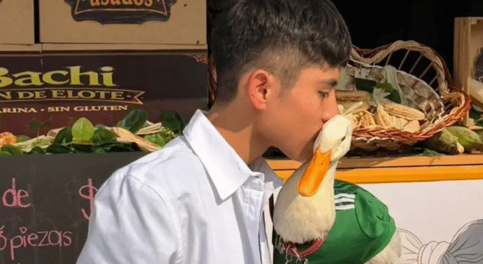 ¿Intentaron quedarse con el Pato Merlín? IMPI respalda a la familia y aclara quién tiene los derechos