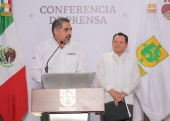 Yucatán vence al dengue: casos de contagios se desploman casi 90%
