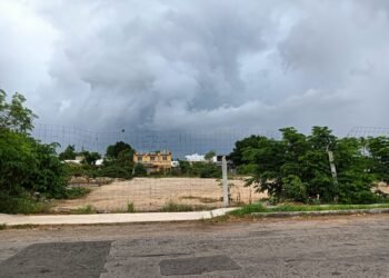 De panaderías premium a inmobiliarias: quién está detrás del nuevo proyecto en Los Pinos