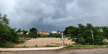 De panaderías premium a inmobiliarias: quién está detrás del nuevo proyecto en Los Pinos
