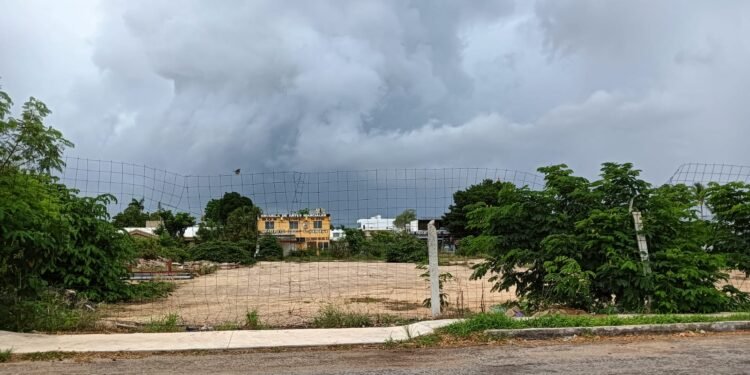 De panaderías premium a inmobiliarias: quién está detrás del nuevo proyecto en Los Pinos