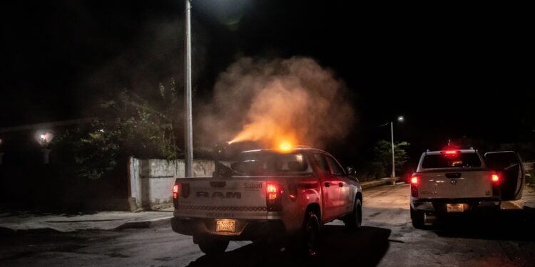 Termina campaña masiva de fumigación, pero la batalla contra el dengue continúa en Yucatán