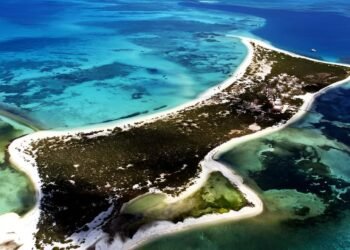 Barcos hundidos y más vigilancia marítima; Yucatán apuesta por arrecifes artificiales para transformar su litoral