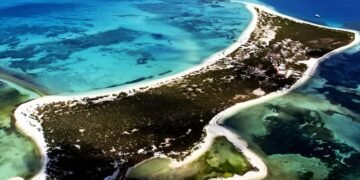 Barcos hundidos y más vigilancia marítima; Yucatán apuesta por arrecifes artificiales para transformar su litoral
