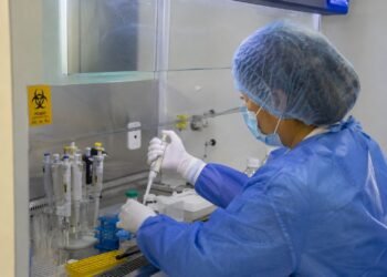 ¿Qué está pasando con el hantavirus? Reino Unido confirma otro caso ligado al crucero donde murieron tres personas
