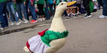 ¿Nace una nueva estrella? Juanita, la patita que le roba reflectores a Merlín y al Mundial