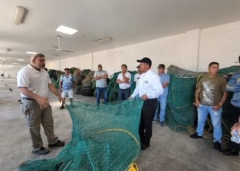 Más protección para las tortugas marinas: Conapesca iniciará cursos para pescadores