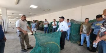 Más protección para las tortugas marinas: Conapesca iniciará cursos para pescadores