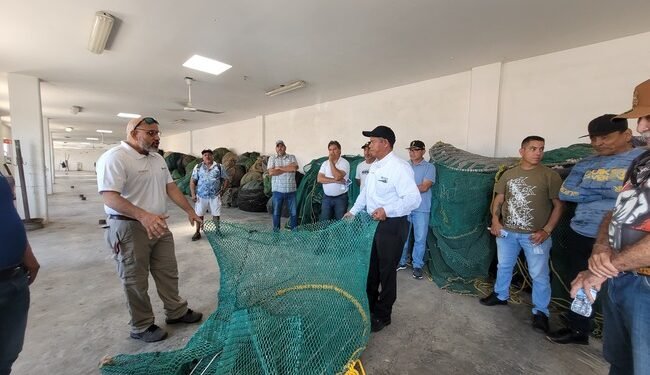 Más protección para las tortugas marinas: Conapesca iniciará cursos para pescadores