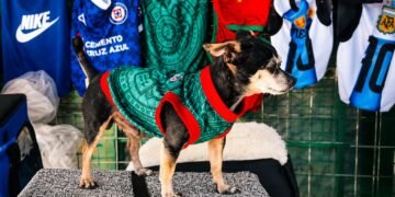 ¡Más famoso que muchos influencers! Pinky conquista TikTok vendiendo accesorios para mascotas