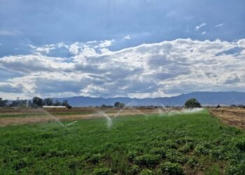 ¿Está preparada la Península para los desafíos del agua? Expertos lo discutirán