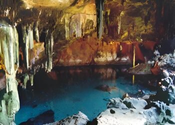 ¿Podrán los cenotes de Yucatán recuperar su esplendor? Ya comenzó el rescate