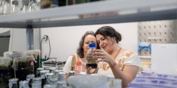 Hasta 500 mil pesos para investigación: así puedes acceder al apoyo