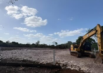 Cuxtal resiste: frenan ecocidio del área protegida en Mérida