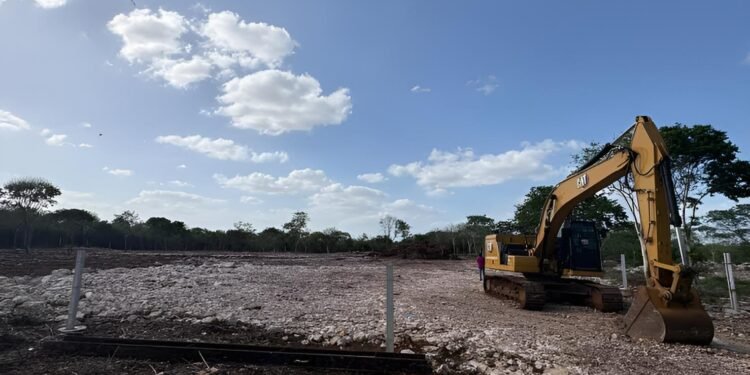 Cuxtal resiste: frenan ecocidio del área protegida en Mérida