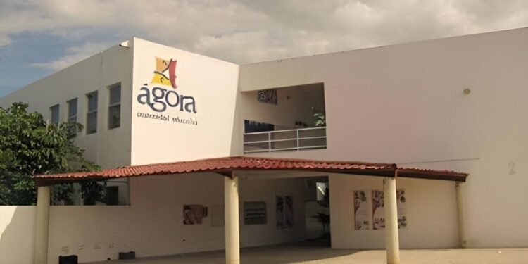 ¿Tu hijo está en la recta final del curso? Esto garantizan las escuelas particulares