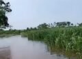 Lluvias dejan primeras pérdidas en el campo yucateco; a esto asciende el daño