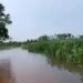 Lluvias dejan primeras pérdidas en el campo yucateco; a esto asciende el daño